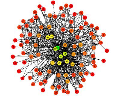 network1
